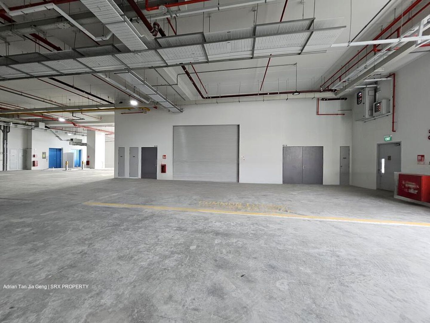 Ct Foodnex (D25), Factory #480263731